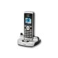 DeTeWe BeeTel 670, Cordless DECT telephone with a color display (electronic)
