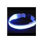 Blue Collar Flashing Adjustable Dog Small Size - Fiber Optic LED (Miscellaneous)
