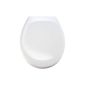 WENKO 18394100 Premium Toilet Seat Ottana White - lowering system, stainless steel Fix-Clip hygienic mounting, antibacterial, plastic - Thermoset, 37.6 x 45.2 cm, White (Kitchen)