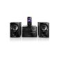Philips DCM1170 / 12 Micro System with Dock + Lightning connector for iPhone / iPod 20W (Electronics)