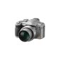Panasonic DMC-FZ28EG-S Digital Camera (10 Megapixel, 18x opt. Zoom, 6.9 cm (2.7 inch) display) Titanium Silver (Electronics)