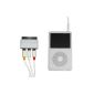 Artwizz Audio Video Cable with SCART adapter for iPod 5G (Electronics)