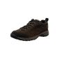 Timberland transliteration 2.0 FTP_Tilton Low Leather GTX Men's trekking and hiking boots (shoes)
