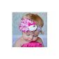 Huayang 2013 new romantic flower design feather headband for baby girls (Rose) (Clothing)