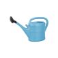 light blue watering can with Brazier