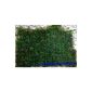 Java moss mat with grid 15x10 cm, Java moss (Misc.)