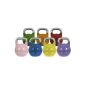 Competition Professional Kettlebells 8-32 KG (Misc.)