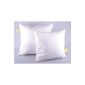 Inner cushion / feather pillows / sofa cushions Set of 2 50 x 50 cm 100% quality springs Oeko Tex tested!