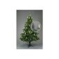 LED Christmas light string plug-in system indoors warm white luminous and a Christmas angel