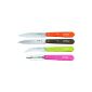 Opinel Essentials 1452 Knives Cook 4 Case (Home)