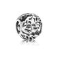 Pandora Women's Charm 925 sterling silver 791 190 Moments (jewelry)