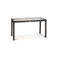 Ambiente Home Polyrattan table incl. Glass top dining table Lubango, black, 140 x 70 cm (garden products)