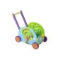 Boikido 80903008 - rabbits for pushing cars out of wood.  at least 12 months.  Blue (Baby Product)