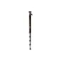 Cullmann NANOMAX 290 monopod with ball head (4 extracts, carrying capacity 2.5kg 150cm height, 48cm packing size) (Electronics)