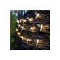 30 LED Solar Fairy Lights dragonfly warm white Lights4fun (household goods)