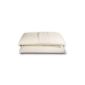 Pillows Pair shape memory foam - Silver Safe - 13cm Medium