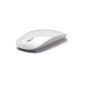 Moonar Ultra-Thin Mouse 2.4GHz Wireless Optical Mouse With Candy Color Receiver Super Slim (White) (Electronics)