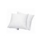 2 pieces feather down pillows cushions pillow 80x80 cm Arktic filling 1000g
