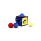 Kyjen Puzzle Plush IQube dog toy plush dice, large (Misc.)