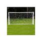 FORZA - weatherproof soccer 3 x 2 m.  1 year warranty!  [Net World Sports] (Misc.)