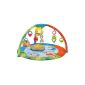 Chicco Carpet Ark Bubble Gym I (Outdoors)