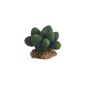Hobby 37018 Cactus Atacamma, height 7 cm (Misc.)