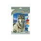Mammut 107001 - Paint by Numbers - Artists Collection small - Wolf (Toys)