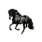 Animals Wall Decal Sticker Horse galloping 120x110cm