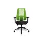 Topstar LT20BTW505 office swivel chair Lady Sitness Deluxe including height adjustable armrests (black / black-gr) 