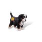 Ravensburger 00374 - tiptoi pawns: Bernese Mountain puppy (Toys)