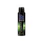 Fa Men Speedster Deospray 48h, 6-pack (6 x 150 ml) (Health and Beauty)