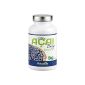 Acai Berry Capsules 6000 - The original of the Acai berries diet - known from Pro7 GALILEO (120 Acai capsules) (Health and Beauty)