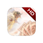 Angel Tarot HD (App)