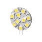 LED Chip for G4 base with 10 SMD LEDs fluorescent color warm white
