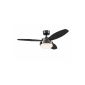 Westinghouse 7876440 ceiling fan Alloy (household goods)