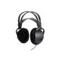 Pioneer SE M 290 A / V hook headphones 1500mW (Electronics)