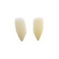 (Vampire Teeth) pointy vampire teeth natural color.  (Clothing)