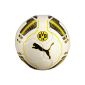 Puma evoPOWER 6 Football in the colors of Borussia Dortmund BVB White / Yellow / Black (Sports)