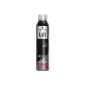 Taft - Styling Spray - Absolu'Fix - Aerosol 250 ml (Personal Care)