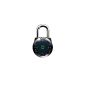 Master Lock padlocks eOne 1500eEURDBLK electronic combination for locker room (Tools & Accessories)