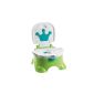 Mattel BGP36 - Fisher-Price Learning Potty and footstool with 4 tunes (Baby Product)