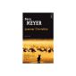 Lemmer, the invisible (Paperback)