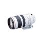 Canon EF Telephoto Zoom 100/400 mm f / 4.5-5.6 L IS USM (Accessory)