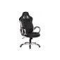 FineBuy Raceing Sport Office Chair - Executive Chairs leatherette black (Office supplies & stationery)
