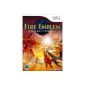 Fire Emblem - Radiant Dawn (Video Game)