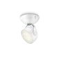 532303116 Philips DYNA swiveling LED spotlight indoor fixture Plastics White (Kitchen)