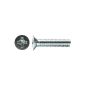 SDU 779940 Countersunk screw Phillips galvanized M4x6-4.8-D965-H 200 pieces (Import Germany) (Tools & Accessories)