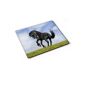 10003 Horses, Black Horse, Mouse Pads Designer Mouse Pad Mouse Mat Anti-slip feet for a Strong Optimal Maintenance Compatible with Colorful Design for All Types Mouse (Ball, Optical, Laser) (Personal Computers)