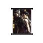 Resident Evil 5 (Bio Hazard 5) Game Fabric Wall Scroll Poster (32x37) Inches