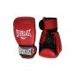Everlast Training Gloves 1803 PVC Boxing Gloves 